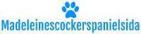 madeleinescockerspanielsida.se